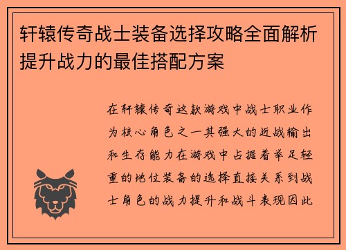 轩辕传奇战士装备选择攻略全面解析提升战力的最佳搭配方案